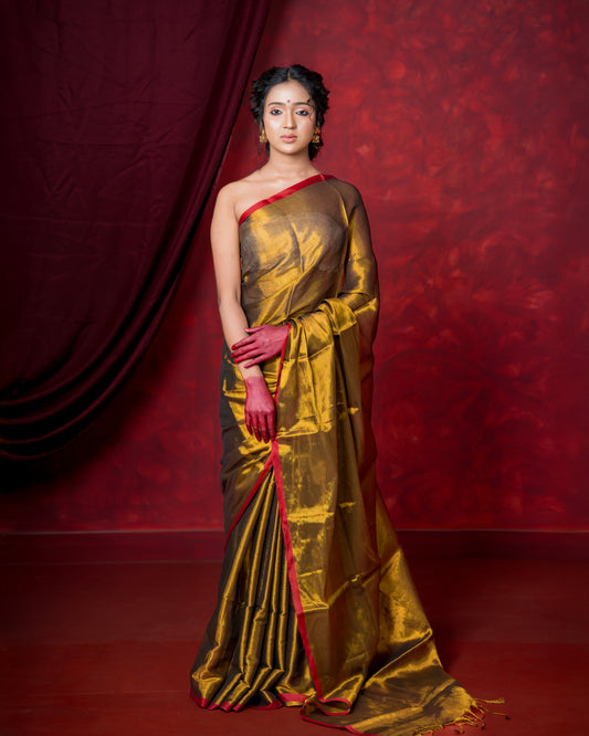 Raga Tissue Silk Saree