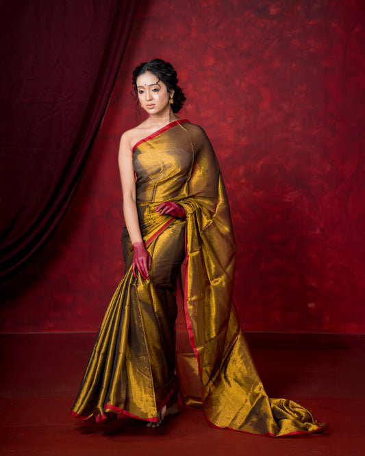 Raga Tissue Silk Saree